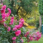 Feriegård Pathe Neuendorf bei Wendisch Buchholz