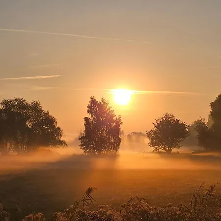 Alojamento de Turismo Rural Pathe