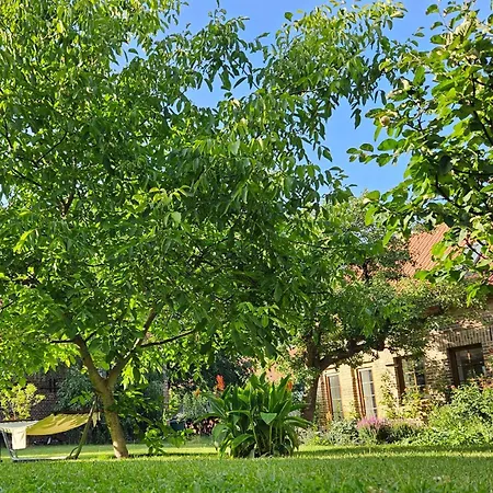 Alojamento de Turismo Rural Pathe Neuendorf bei Wendisch Buchholz