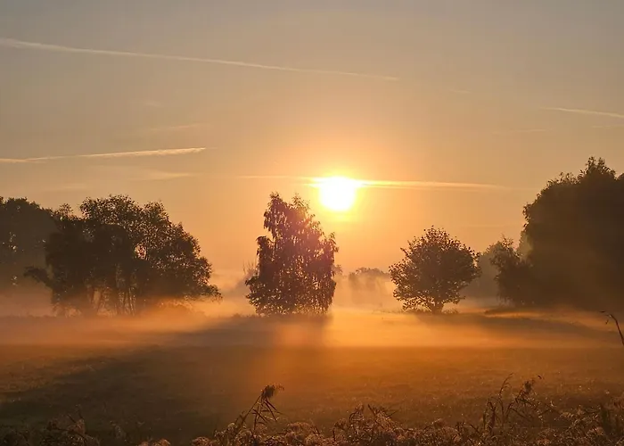 ファームステイ Pathe