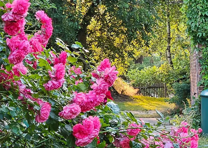 ファームステイ Pathe Neuendorf bei Wendisch Buchholz